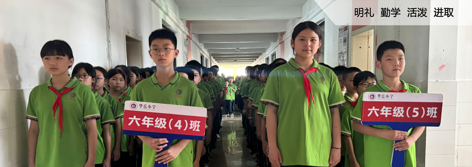 通栏图片